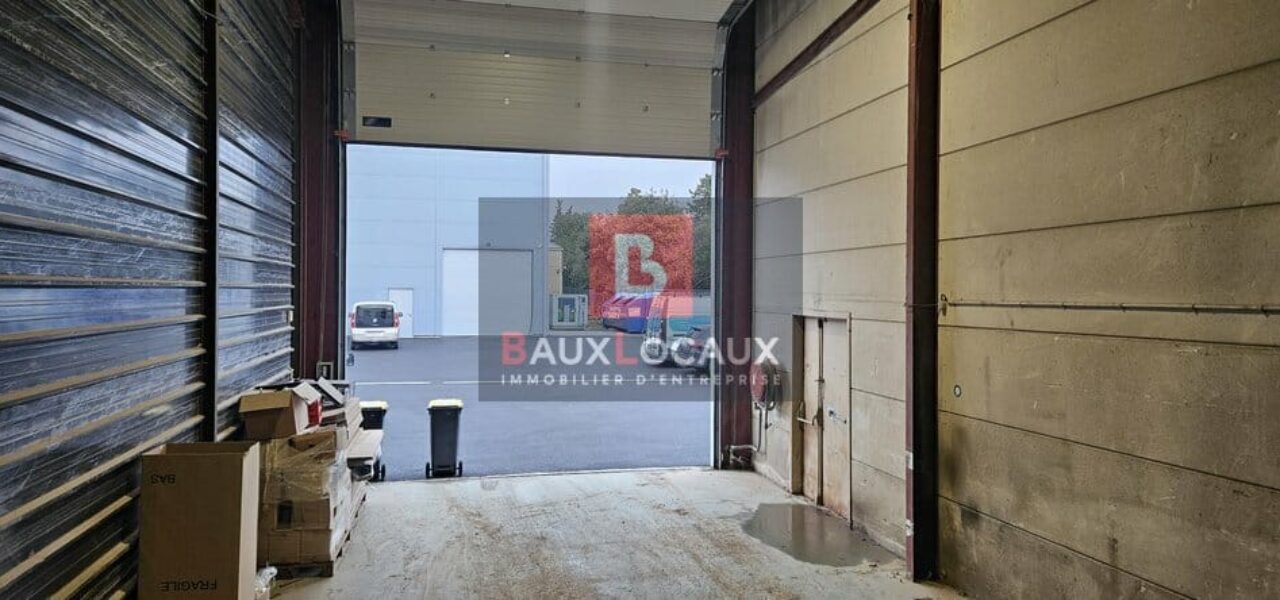 Entrepôt / Logistique & Locaux d’activité à louer à Carpentras de 307 m² — photo 5