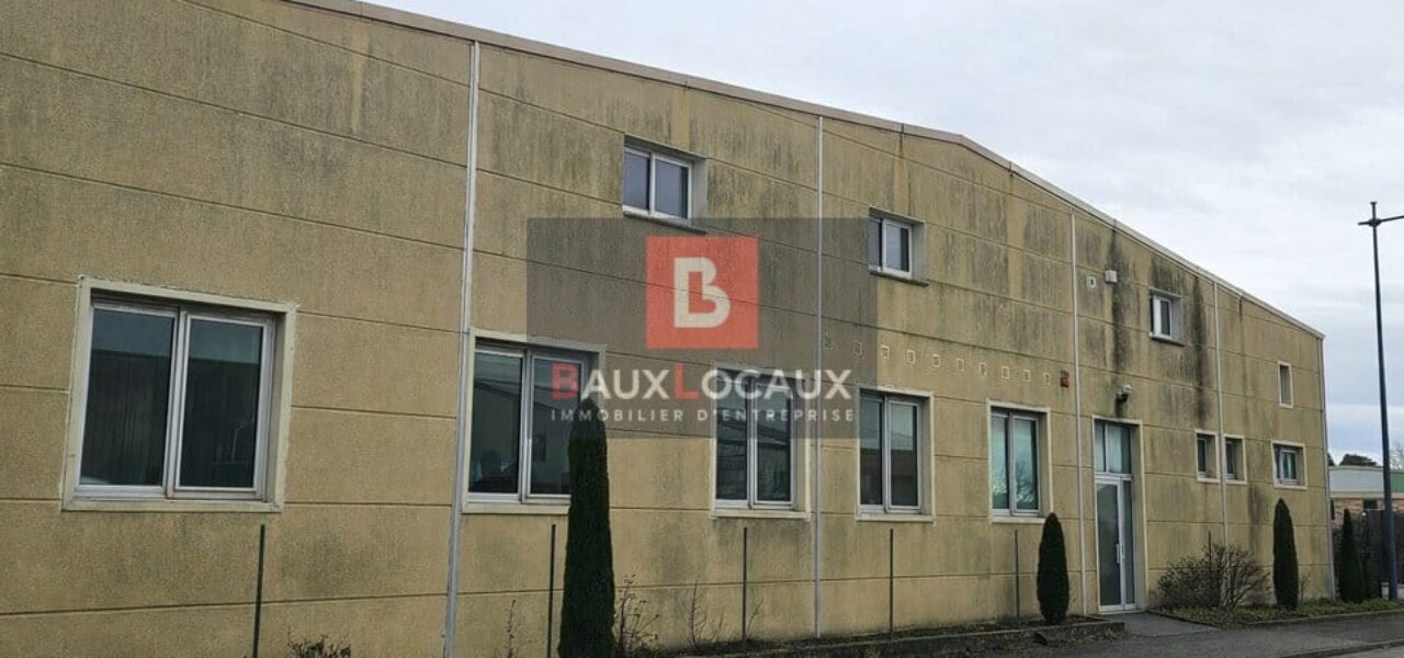 Entrepôt / Logistique & Locaux d’activité à louer à Carpentras de 307 m² — photo 2