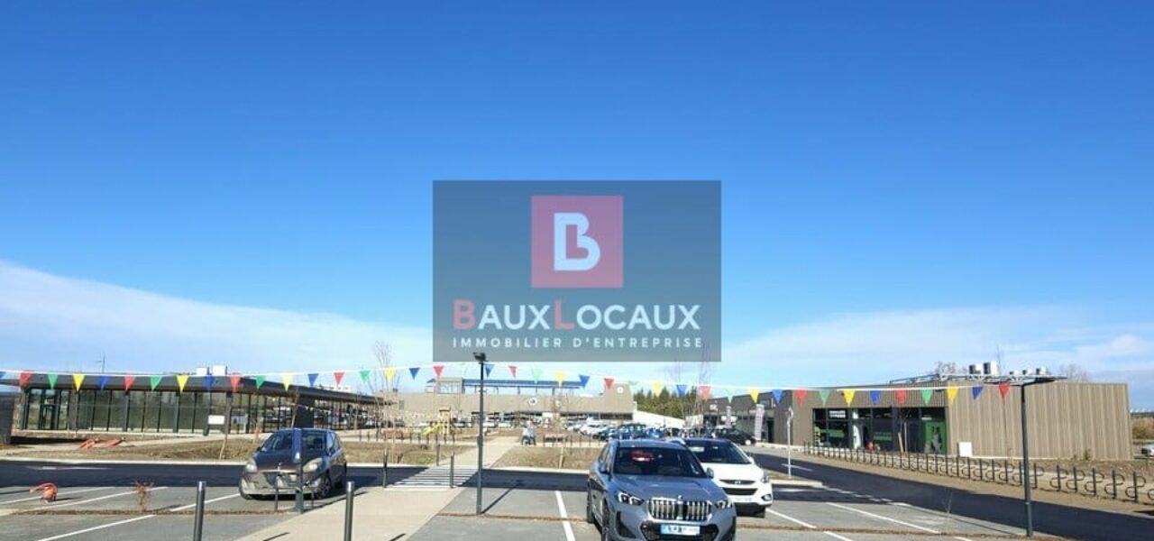 LOCAL COMMERCIAL à LOUER — photo 5