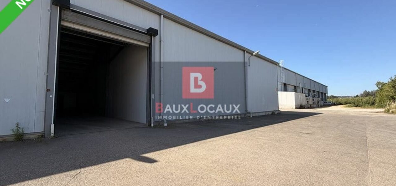 851923867_84_1800_3-14159-0.jpg