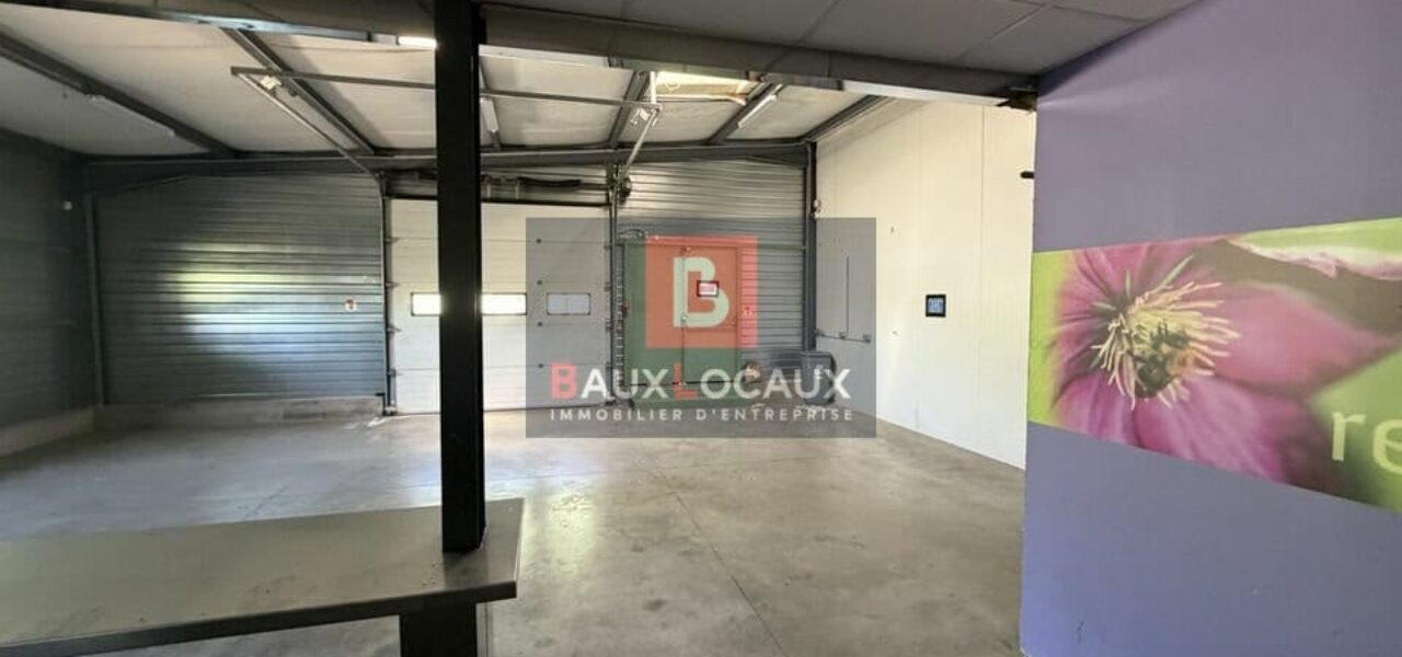 ENTREPOT - LOGISTIQUE à LOUER — photo 12